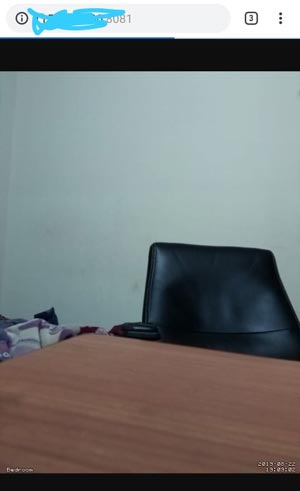 Browse the IP on Browser