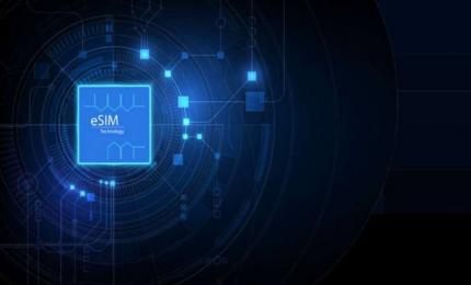 Global eSIM Market Global eSIM Market